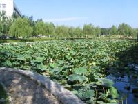 Albums/20060800-China Aug 2006/20060804-Shenyang University/29